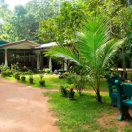 Sigiri Lodge Sigiriya Ngoại thất bức ảnh
