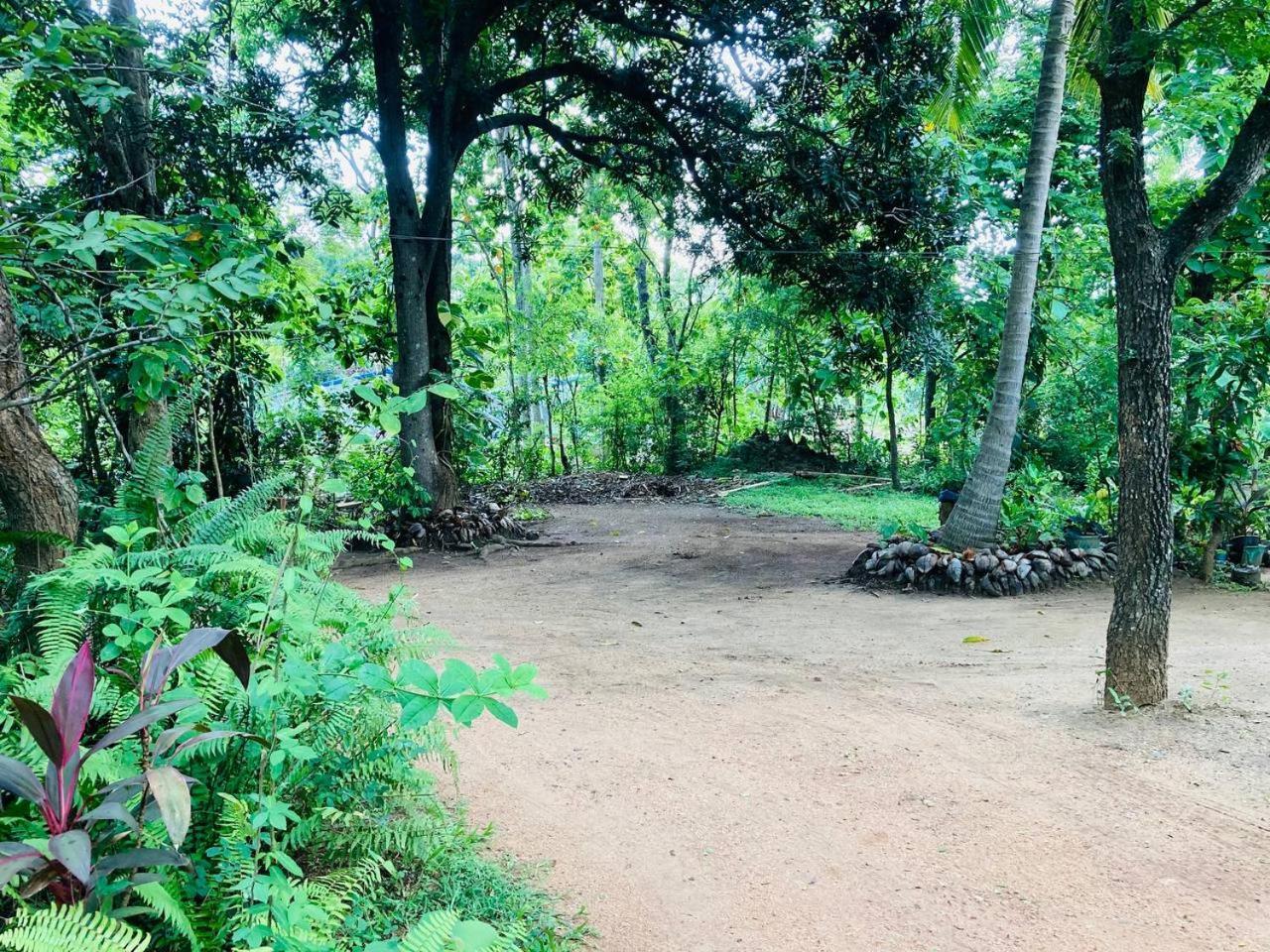 Sigiri Lodge Sigiriya Ngoại thất bức ảnh